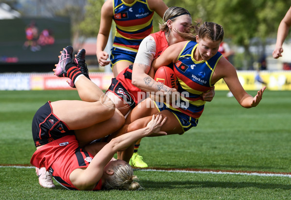 AFLW 2024 Round 04 - Adelaide v Essendon - A-54234281