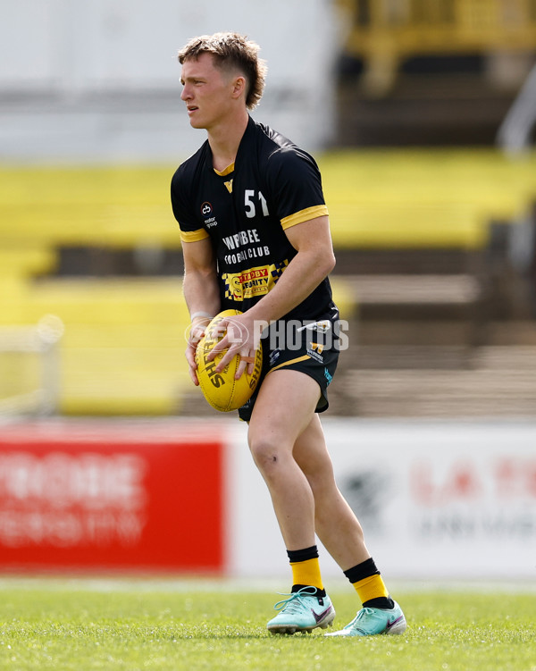 VFL 2024 Grand Final - Werribee v Southport Sharks - A-54234283