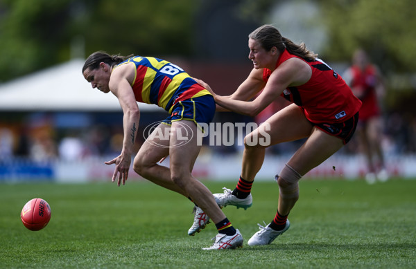 AFLW 2024 Round 04 - Adelaide v Essendon - A-54234302