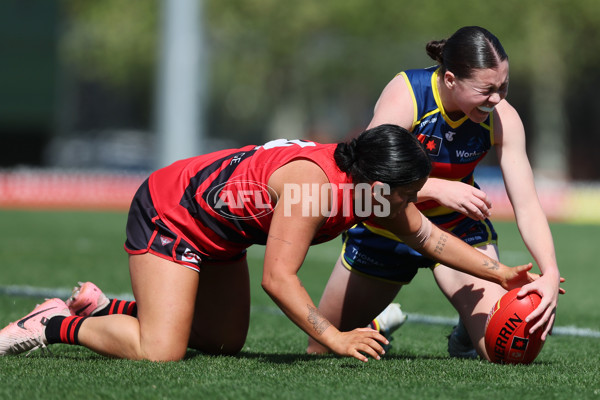 AFLW 2024 Round 04 - Adelaide v Essendon - A-54234355