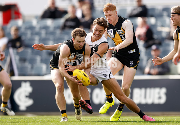 VFL 2024 Grand Final - Werribee v Southport Sharks - A-54236329