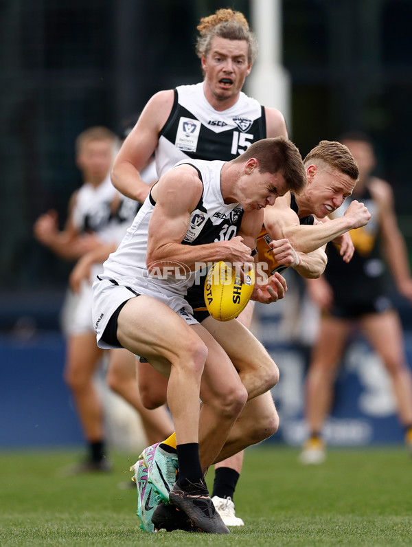 VFL 2024 Grand Final - Werribee v Southport Sharks - A-54236385