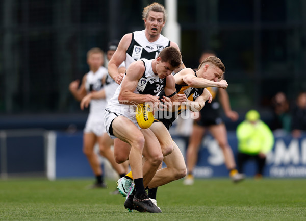 VFL 2024 Grand Final - Werribee v Southport Sharks - A-54236972