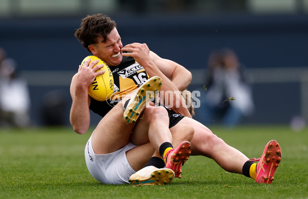 VFL 2024 Grand Final - Werribee v Southport Sharks - A-54236973