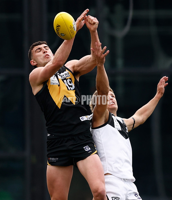 VFL 2024 Grand Final - Werribee v Southport Sharks - A-54236981