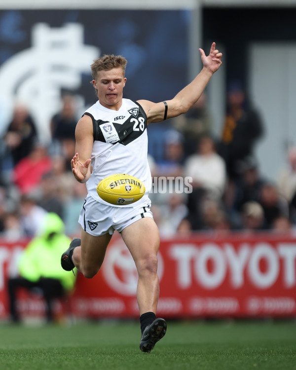 VFL 2024 Grand Final - Werribee v Southport Sharks - A-54239134