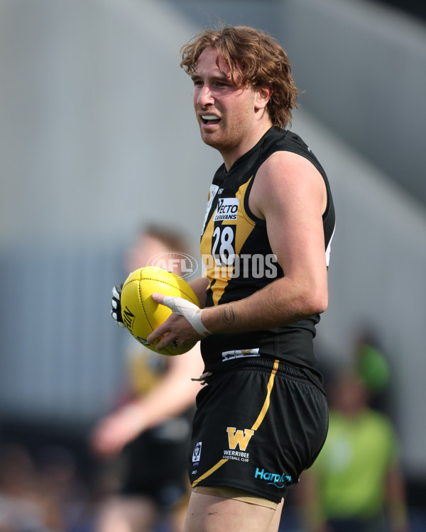 VFL 2024 Grand Final - Werribee v Southport Sharks - A-54239135