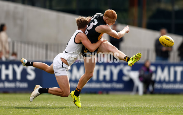 VFL 2024 Grand Final - Werribee v Southport Sharks - A-54239161