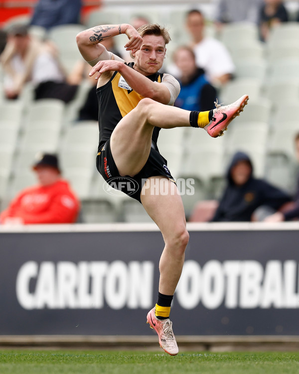 VFL 2024 Grand Final - Werribee v Southport Sharks - A-54239162