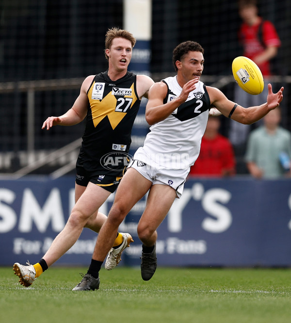 VFL 2024 Grand Final - Werribee v Southport Sharks - A-54239164