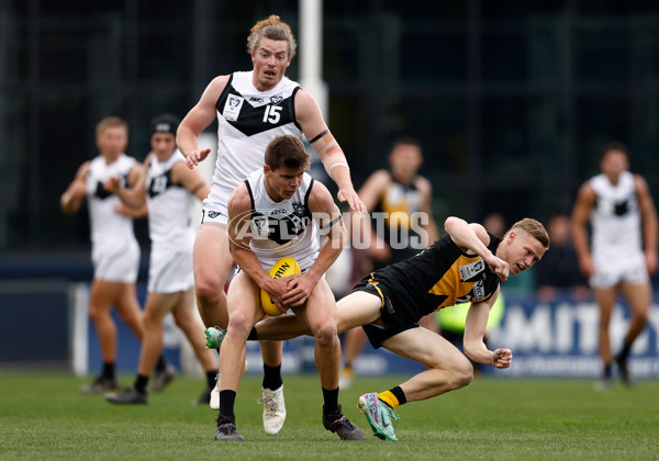 VFL 2024 Grand Final - Werribee v Southport Sharks - A-54239167