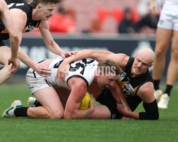 VFL 2024 Grand Final - Werribee v Southport Sharks - A-54239192