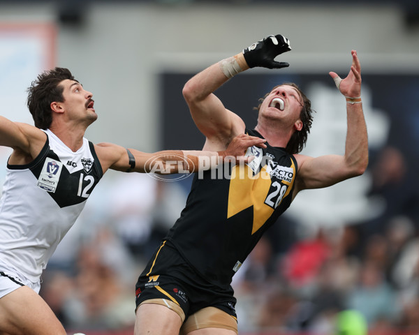 VFL 2024 Grand Final - Werribee v Southport Sharks - A-54239194