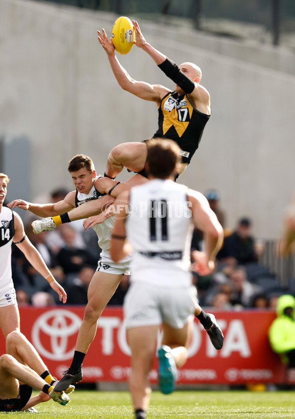 VFL 2024 Grand Final - Werribee v Southport Sharks - A-54239209