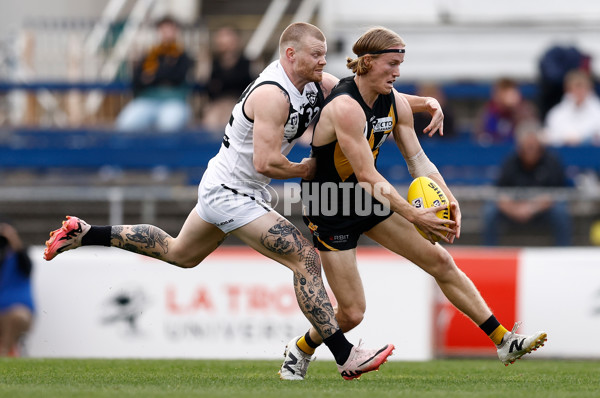 VFL 2024 Grand Final - Werribee v Southport Sharks - A-54239755