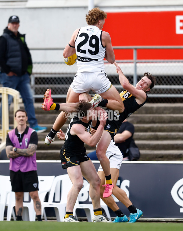 VFL 2024 Grand Final - Werribee v Southport Sharks - A-54241738