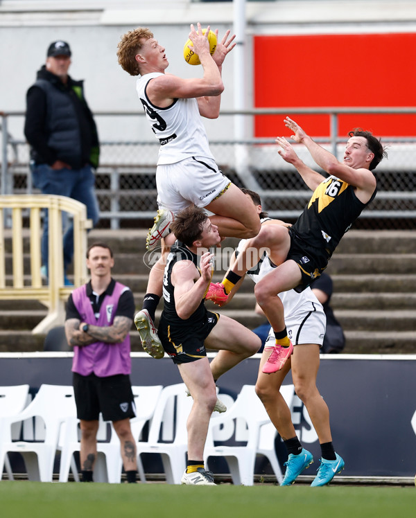 VFL 2024 Grand Final - Werribee v Southport Sharks - A-54241739