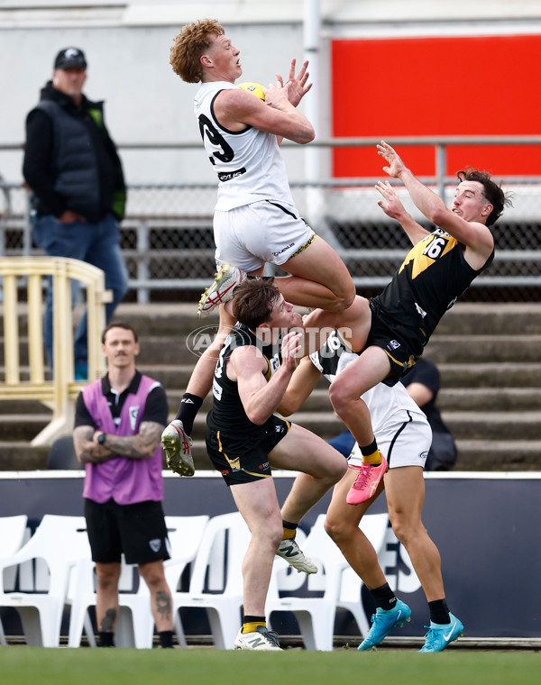 VFL 2024 Grand Final - Werribee v Southport Sharks - A-54241740