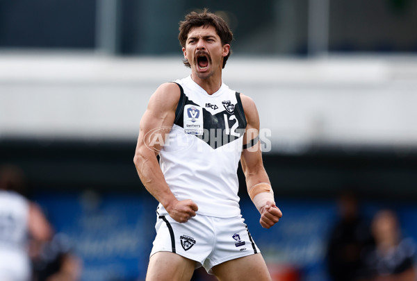 VFL 2024 Grand Final - Werribee v Southport Sharks - A-54242309