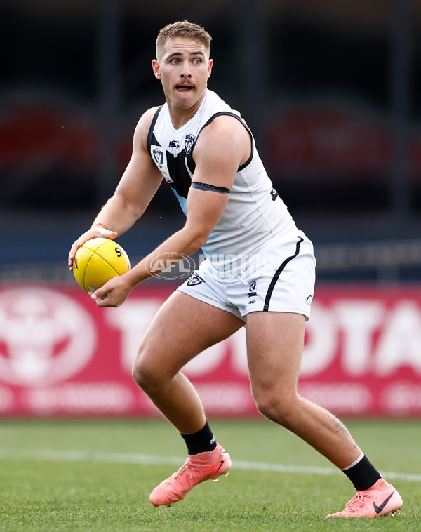 VFL 2024 Grand Final - Werribee v Southport Sharks - A-54244498