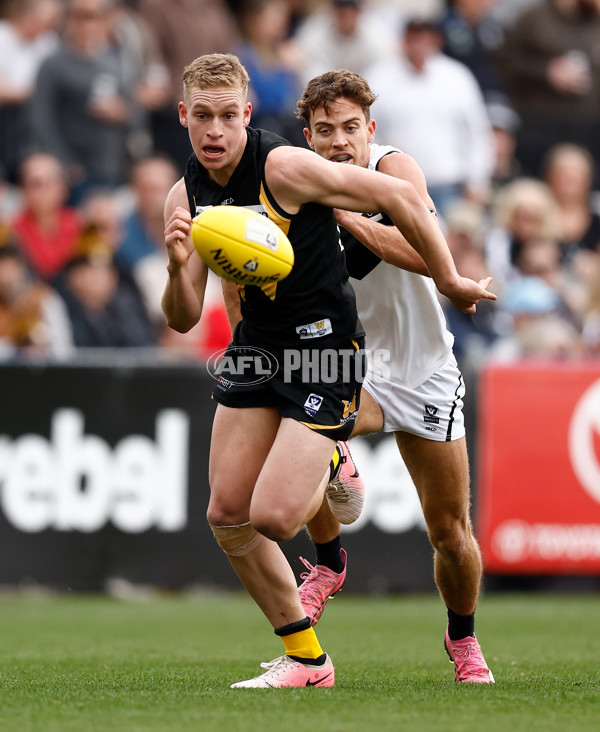 VFL 2024 Grand Final - Werribee v Southport Sharks - A-54244499