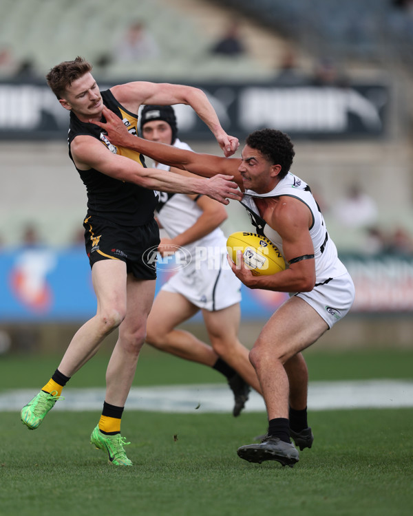 VFL 2024 Grand Final - Werribee v Southport Sharks - A-54244506