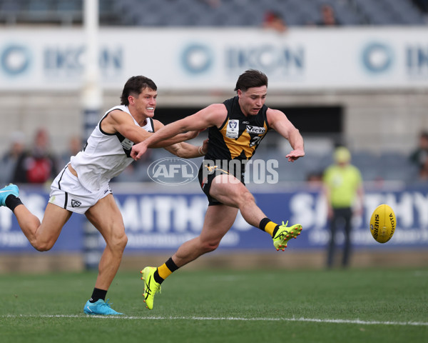 VFL 2024 Grand Final - Werribee v Southport Sharks - A-54244555