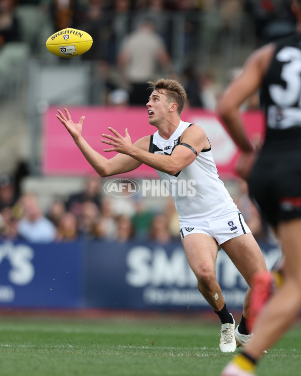 VFL 2024 Grand Final - Werribee v Southport Sharks - A-54244560