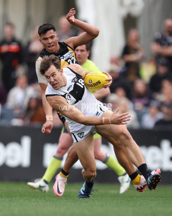 VFL 2024 Grand Final - Werribee v Southport Sharks - A-54244569