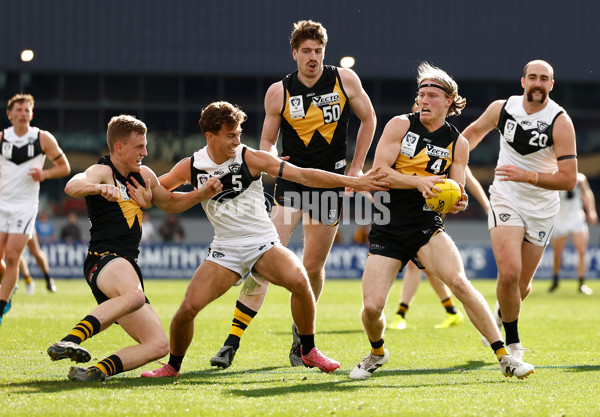 VFL 2024 Grand Final - Werribee v Southport Sharks - A-54245092