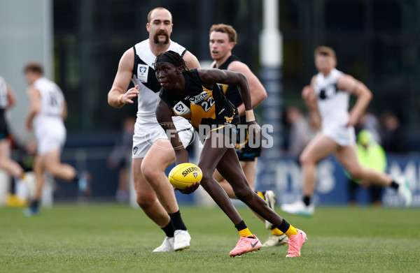 VFL 2024 Grand Final - Werribee v Southport Sharks - A-54245093