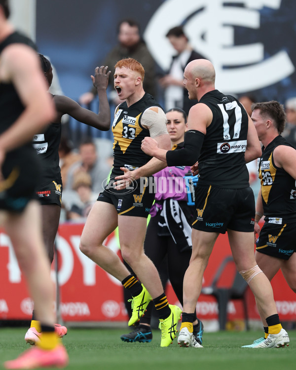 VFL 2024 Grand Final - Werribee v Southport Sharks - A-54245096