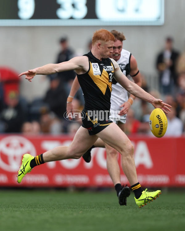 VFL 2024 Grand Final - Werribee v Southport Sharks - A-54245098