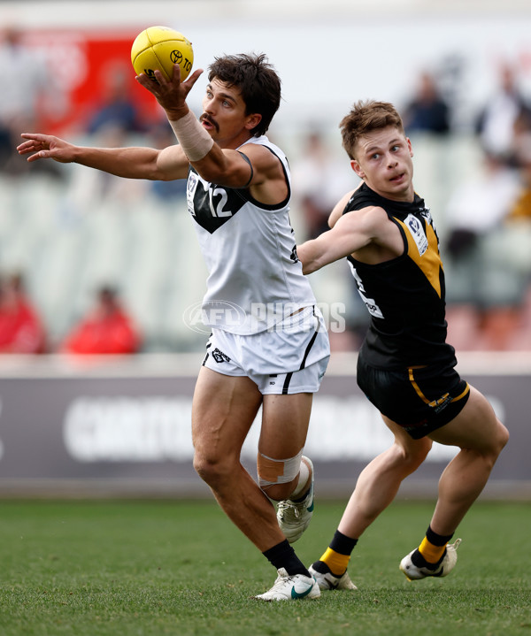 VFL 2024 Grand Final - Werribee v Southport Sharks - A-54245104