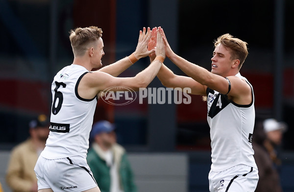 VFL 2024 Grand Final - Werribee v Southport Sharks - A-54245168