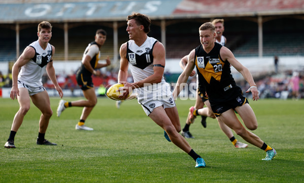 VFL 2024 Grand Final - Werribee v Southport Sharks - A-54247157