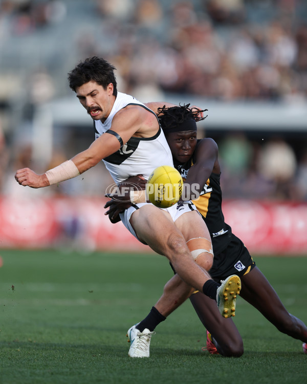 VFL 2024 Grand Final - Werribee v Southport Sharks - A-54247199