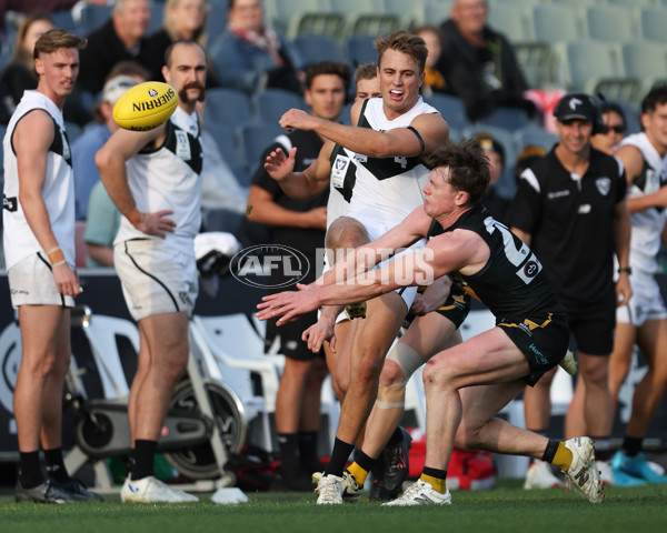 VFL 2024 Grand Final - Werribee v Southport Sharks - A-54247200