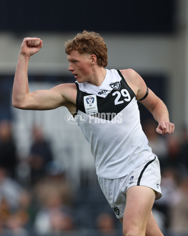 VFL 2024 Grand Final - Werribee v Southport Sharks - A-54247811