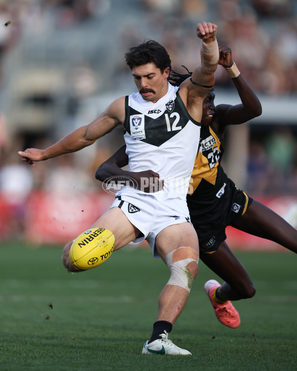 VFL 2024 Grand Final - Werribee v Southport Sharks - A-54247899