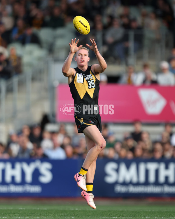 VFL 2024 Grand Final - Werribee v Southport Sharks - A-54247900