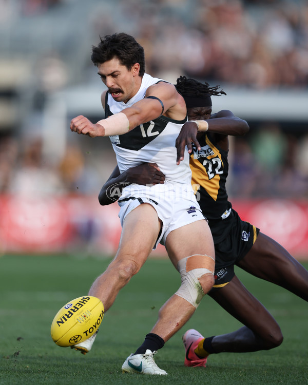 VFL 2024 Grand Final - Werribee v Southport Sharks - A-54247902