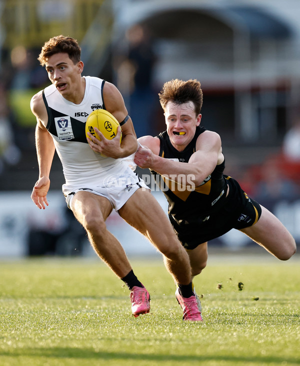 VFL 2024 Grand Final - Werribee v Southport Sharks - A-54250095