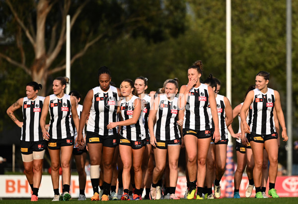 AFLW 2024 Round 04 - Collingwood v Western Bulldogs - A-54250113