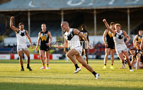 VFL 2024 Grand Final - Werribee v Southport Sharks - A-54250123