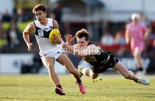 VFL 2024 Grand Final - Werribee v Southport Sharks - A-54250398