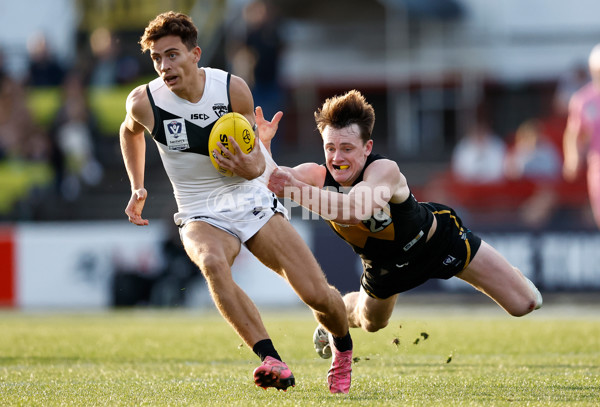 VFL 2024 Grand Final - Werribee v Southport Sharks - A-54250417