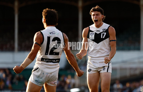 VFL 2024 Grand Final - Werribee v Southport Sharks - A-54250429