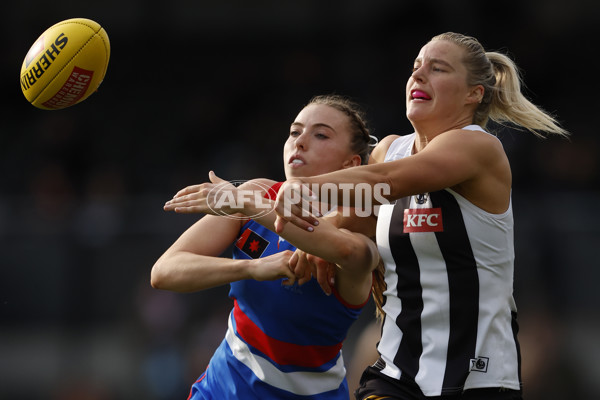 AFLW 2024 Round 04 - Collingwood v Western Bulldogs - A-54252931