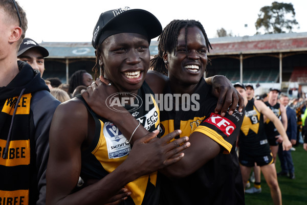 VFL 2024 Grand Final - Werribee v Southport Sharks - A-54255801